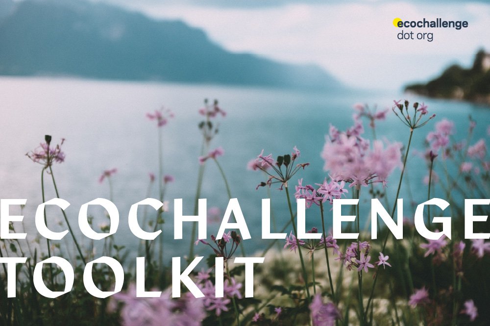 Ecochallenge Toolkit by Ecochallenge.org. A field of light violet wildflowers overlooking a body of water and mountains.